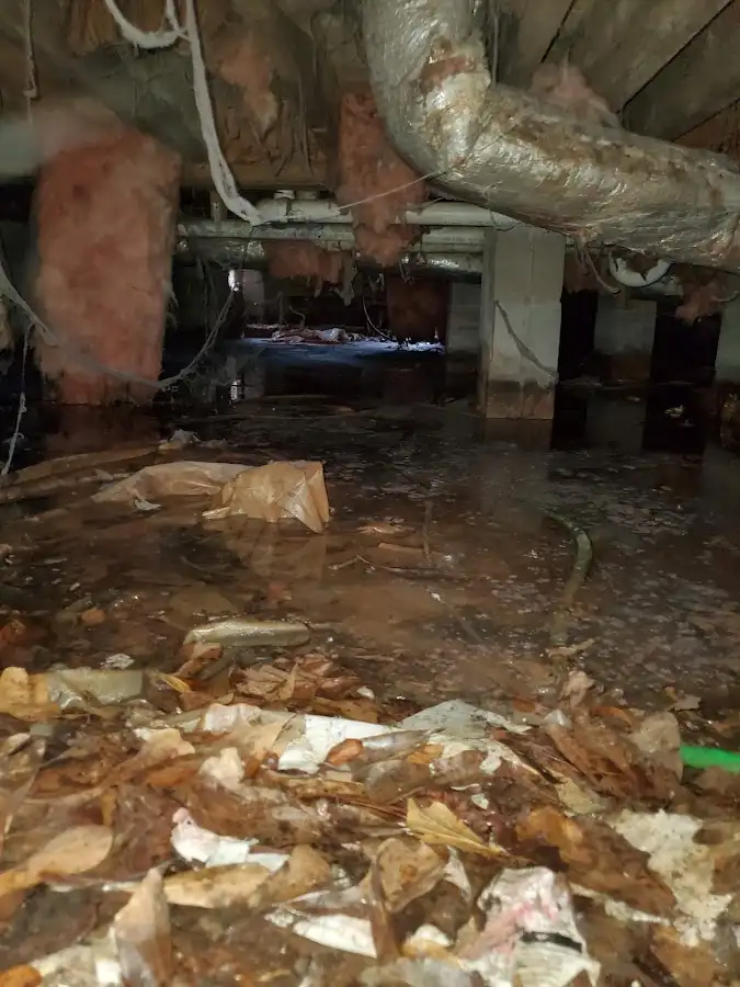 Crawl space flood assessment for Leak Detection & Repair in Weisenberg