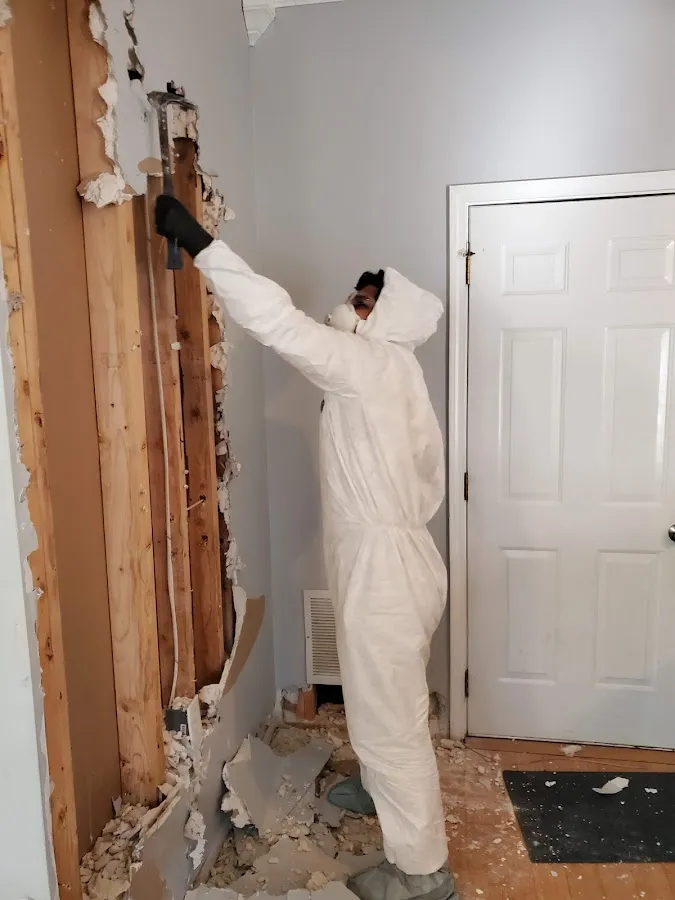 Mold Remediation & Removal in Weisenberg, PA